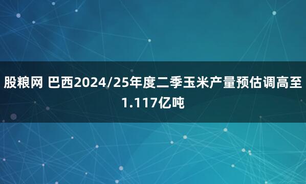 股粮网 巴西2024/25年度二季玉米产量预估调高至1.117亿吨