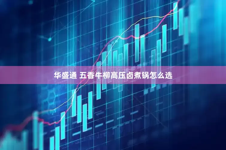 华盛通 五香牛柳高压卤煮锅怎么选