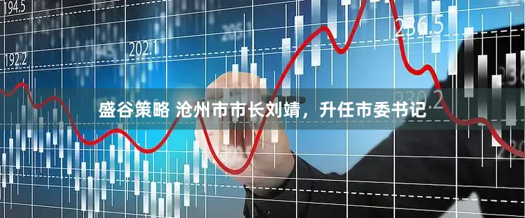 盛谷策略 沧州市市长刘靖，升任市委书记
